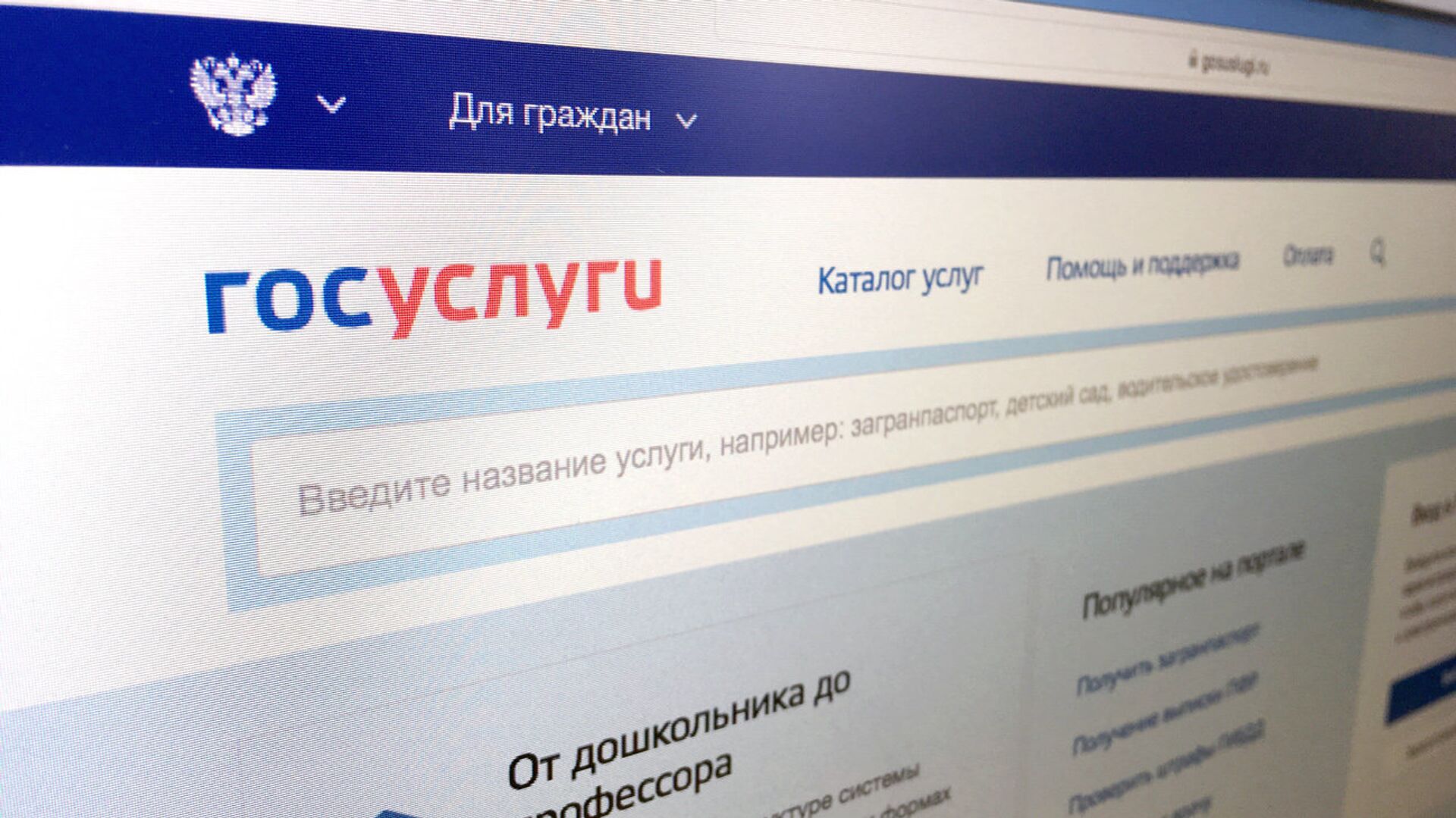 Жители Бурятии могут запросить землеустроительные документы через Госуслуги.