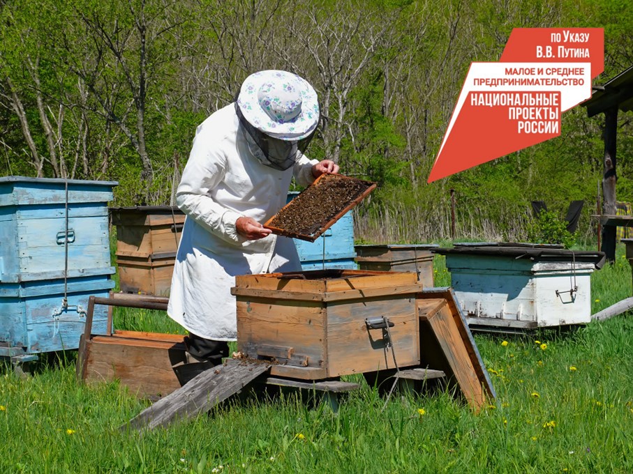Жители Бурятии могут пройти курсы по пчеловодству 29 Марта 2023.