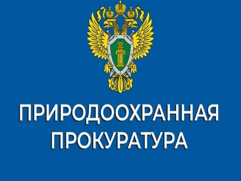 Северобайкальская межрайонная природоохранная прокуратура информирует.