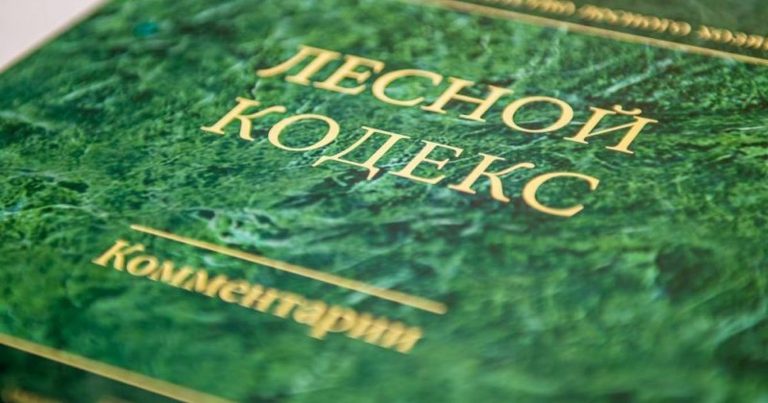 Изменения в Лесной кодекс РФ.