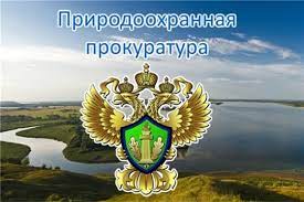 Северобайкальской межрайонной природоохранной прокуратурой предотвращено уничтожение зеленых насаждений в  г. Северобайкальск.