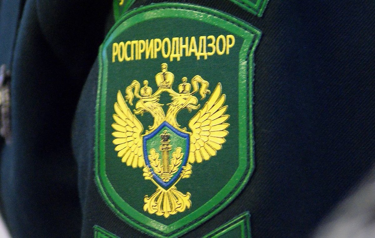 О представлении производителями товаров, импортерами товаров отчетности в отношении произведенных и ввезенных с 01.01.2024 товаров и упаковки товаров «по новым правилам».