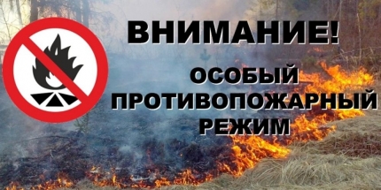 СТАТИСТИКА ПОЖАРОВ НА ТЕРРИТОРИИ  СЕВЕРО-БАЙКАЛЬСКОГО РАЙОНА.