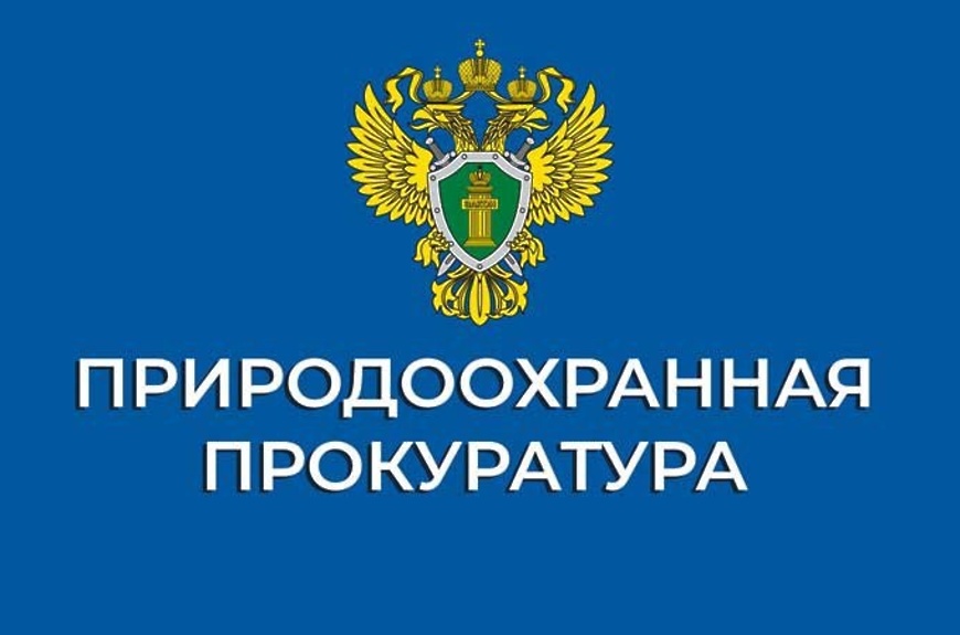 Северобайкальской межрайонной природоохранной прокуратурой приняты меры к сносу незаконных объектов в границах береговой полосы озера Байкал.