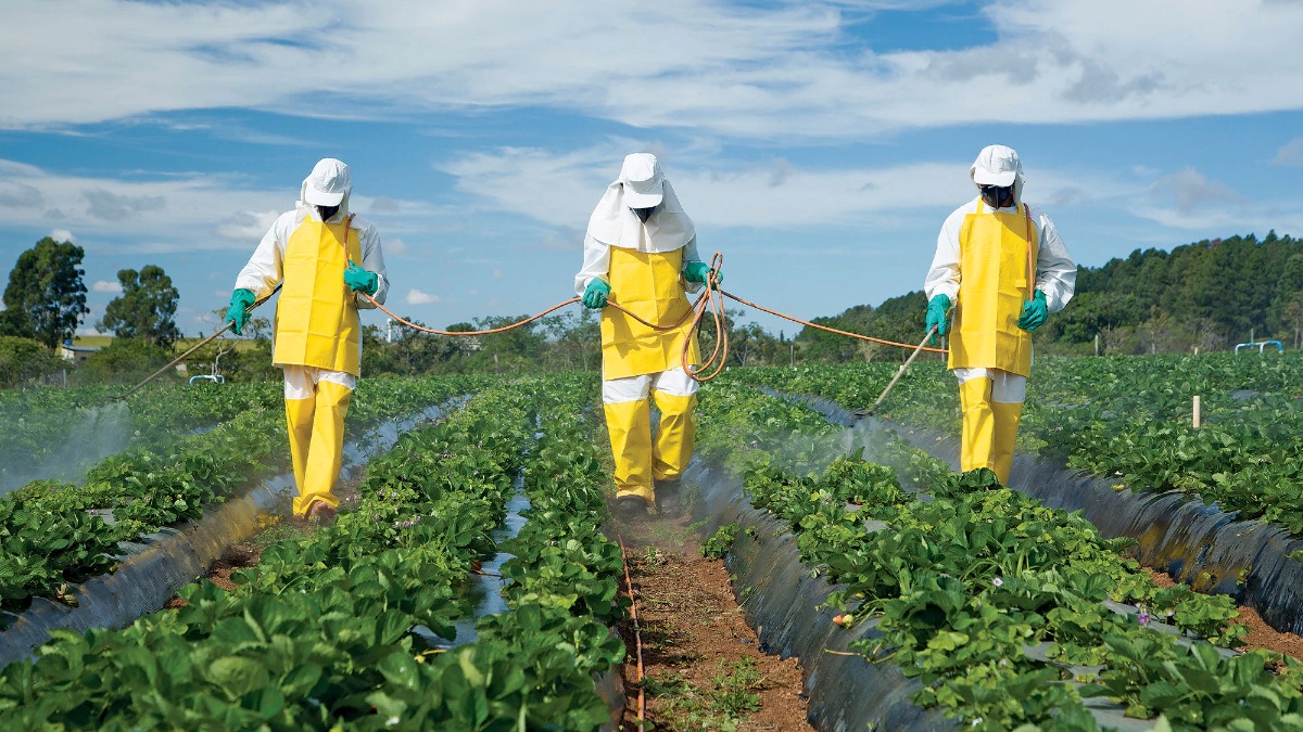 Профилактика негативного воздействия пестицидов и удобрений.