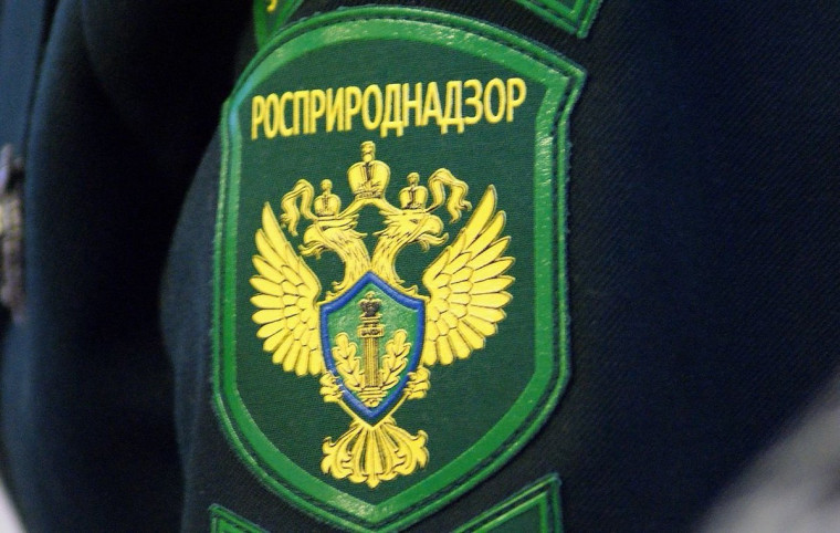 О представлении производителями товаров, импортерами товаров отчетности в отношении произведенных и ввезенных с 01.01.2024 товаров и упаковки товаров «по новым правилам». О представлении производителями товаров, импортерами товаров отчетности в отношении произведенных и ввезенных с 01.01.2024 товаров и упаковки товаров «по новым правилам».